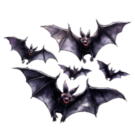 Chauves souris et gants - France